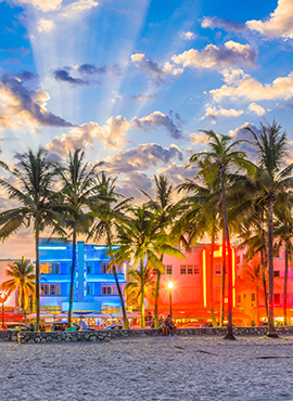 Miami Skyline